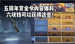 最新赏金令爆料,神秘任务与巨额悬赏背后的秘密