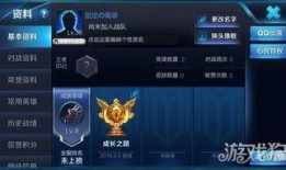 王者荣耀最新调整爆料,新版本调整爆料，英雄技能重塑，战局格局再掀风云