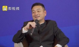 刘强最新爆料京东,揭秘京东神秘技术背后的秘密