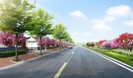 最新爆料绿山路,揭秘神秘项目背后的秘密与未来展望